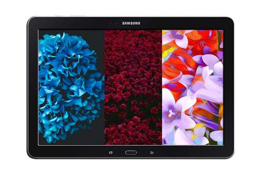 Flowers Wallpapers Ultra HD - Flowers 4K Wallpaper screenshot 10