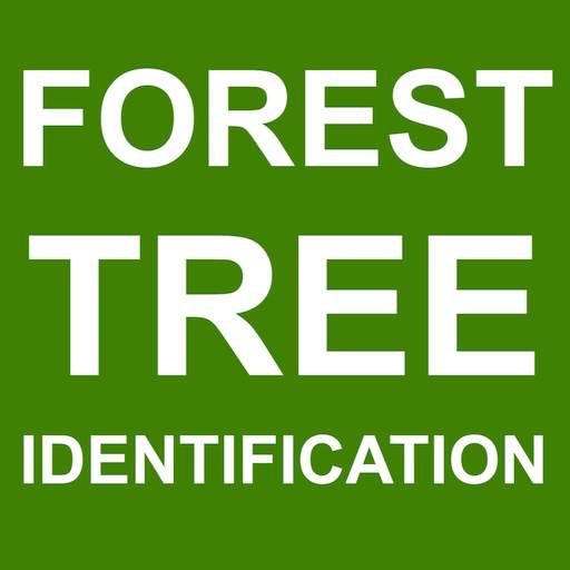 Forest Tree Identification 4.0.3