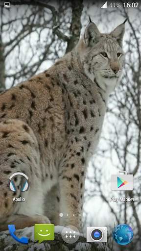 Lynx. Video Wallpaper स्क्रीनशॉट 4