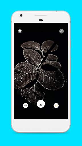 PhotoBi - A Unique Wallpaper Collection screenshot 2