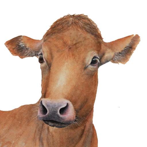 My Cattle Manager - Farm app 1.4.2