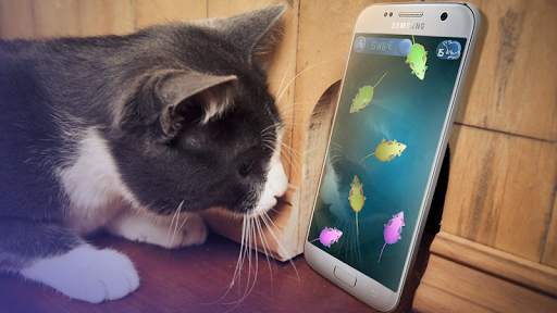 Game for cats Mouse screenshot 1