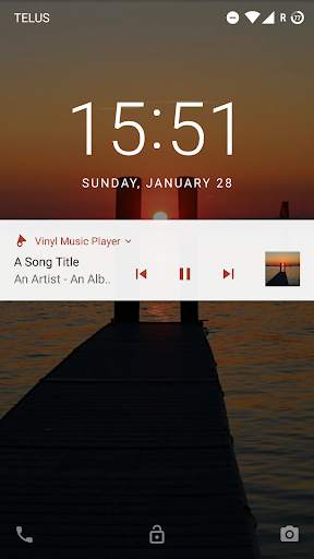 Vinyl Music Player screenshot 2