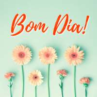 Bom Dia Imagens Bonitas on 9Apps