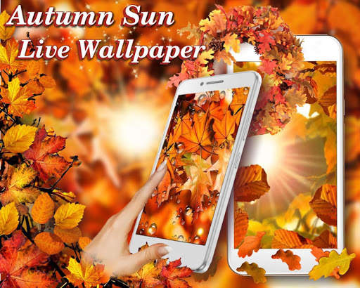 Autumn Sun Live Wallpaper screenshot 8