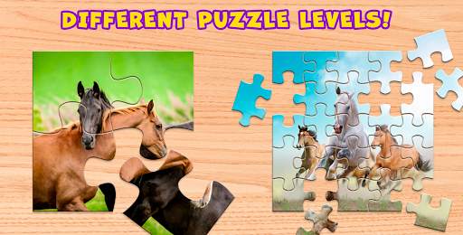Horses Puzzle Game Free 🐴 screenshot 3