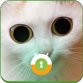 White Cat Wall & Lock