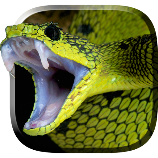 ikon Snake Live Wallpaper