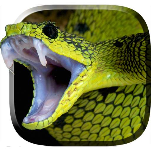 Snake Live Wallpaper 5.0