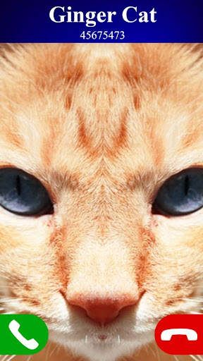 fake call cat game screenshot 1