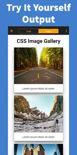 Learn CSS screenshot 5