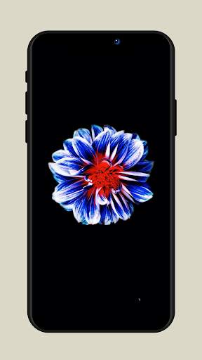 HD Wallpapers screenshot 3