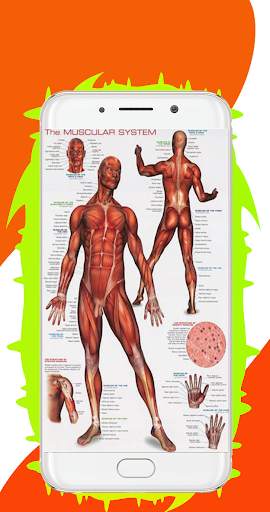Human Body System – All Body System Offline screenshot 4