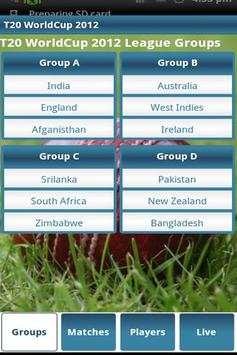 T20 Cricket screenshot 1