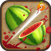 Fruit Slice icon