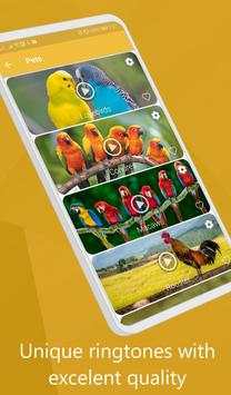 Bird call screenshot 5
