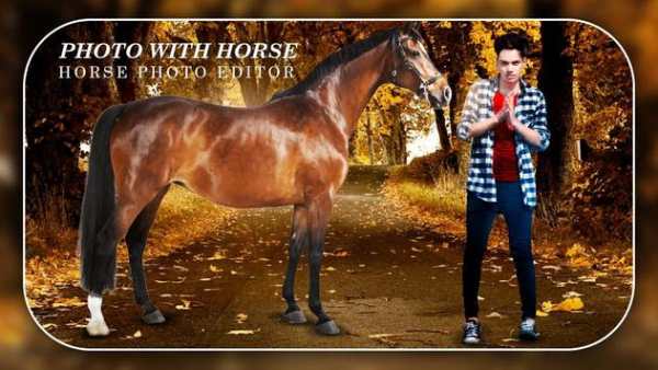 Horse Photo Editor screenshot 3