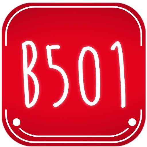 B501 2.4