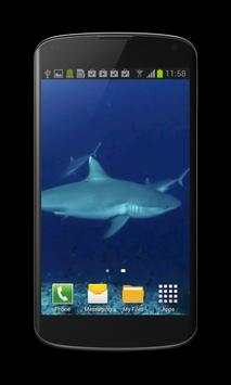 Shark Video Wallpaper Free screenshot 1