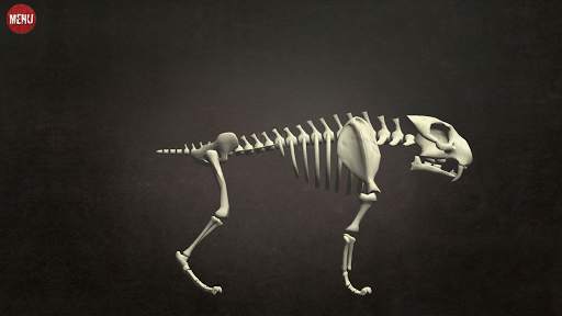 3Dino - The world of dinosaurs screenshot 15