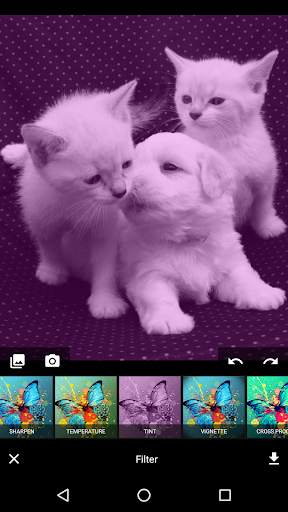 Image and Photo Editor - With Emojis & Filters screenshot 5
