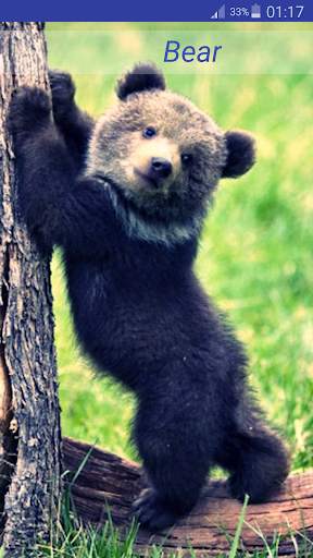 Baby Animal Sounds screenshot 6