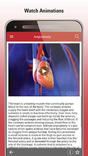 MSD Manual Consumer screenshot 4