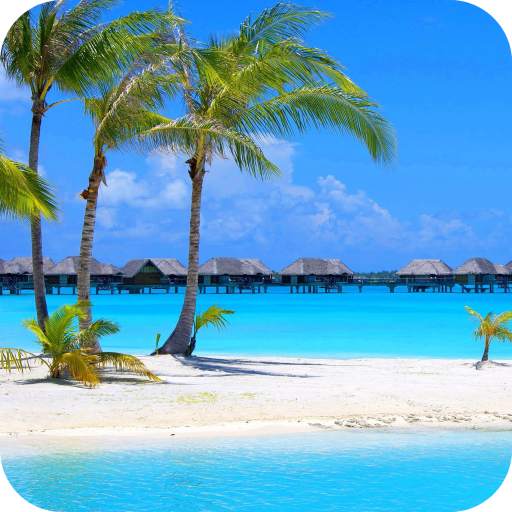 Beach Full HD Wallpaper 1.07