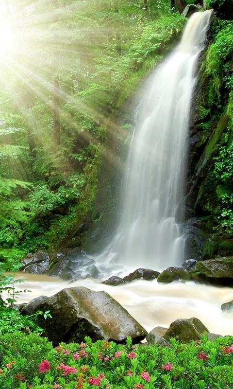 moving waterfall wallpaper screenshot 1