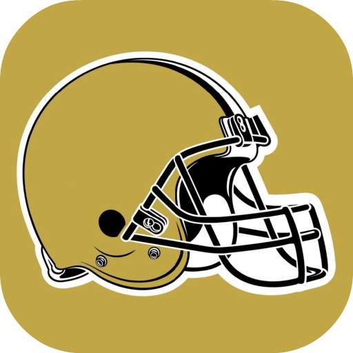 Wallpapers for New Orleans Saints Fans 1.0.4