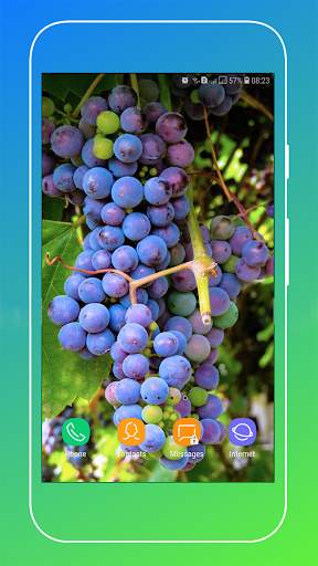 Grapes Wallpapers HD screenshot 4