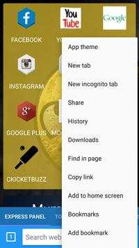 lite browser screenshot 3