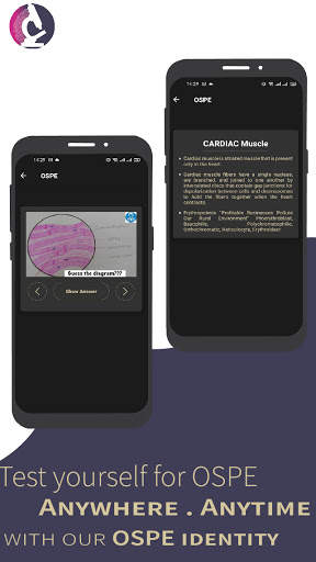 Medicos Histology:Anatomy histology figure & guide screenshot 5