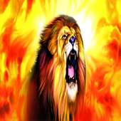 Fire Lion Fire Live Wallpaper logo