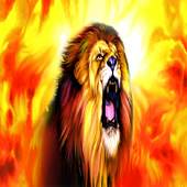 Fire Lion Fire Live Wallpaper 1.1