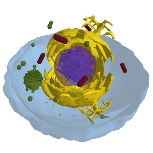 The Cell 1.51