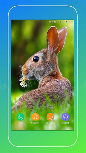 Rabbit Wallpaper screenshot 7