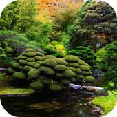 Koi Zen Garden Live Wallpaper 1.0