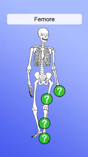 Anatomia screenshot 3