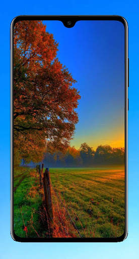 Beautiful Wallpaper screenshot 3