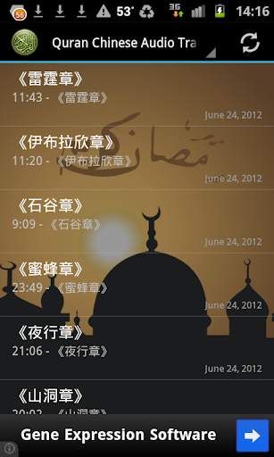 Quran Chinese Translation MP3 screenshot 4