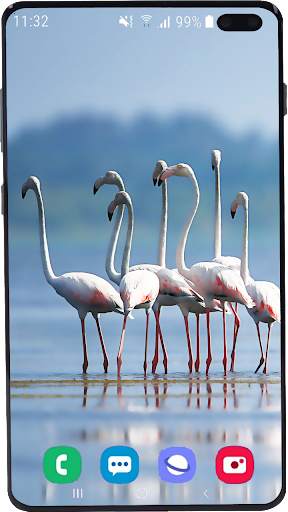 Flamingo Wallpaper HD screenshot 7