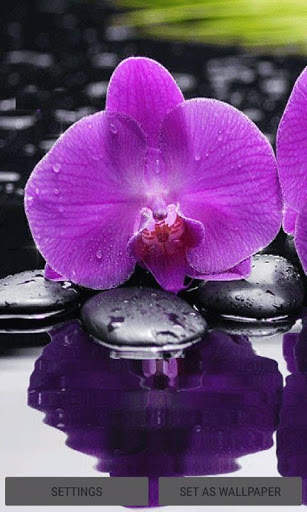 Purple Orchid Live Wallpaper screenshot 1