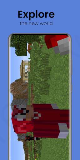 Sonic World Mod For MCPE screenshot 4
