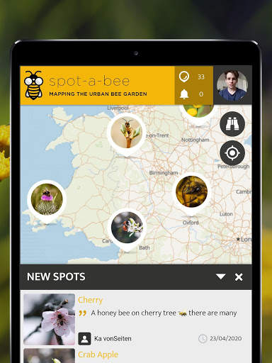 Spot-a-Bee  | SPOTTERON screenshot 8