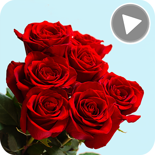 Animated Flowers Stickers for Whatsapp GIF 🌹 💐 icon