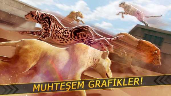 Leoparlar karşı Aslanlar - Vahşi Savan Yarış screenshot 8