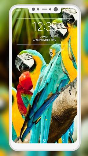 Bird Wallpaper 10 تصوير الشاشة