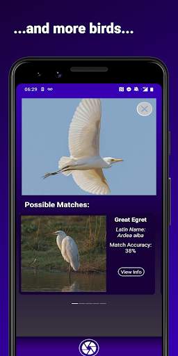 Bird Identifier - Find That Bird! स्क्रीनशॉट 4