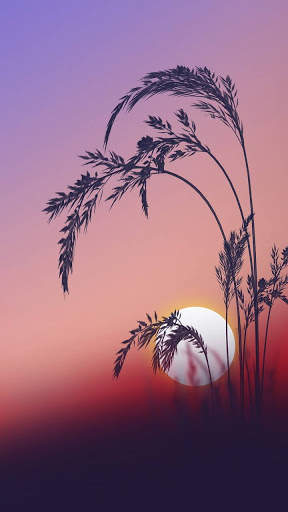 Sunset Wallpaper HD screenshot 4